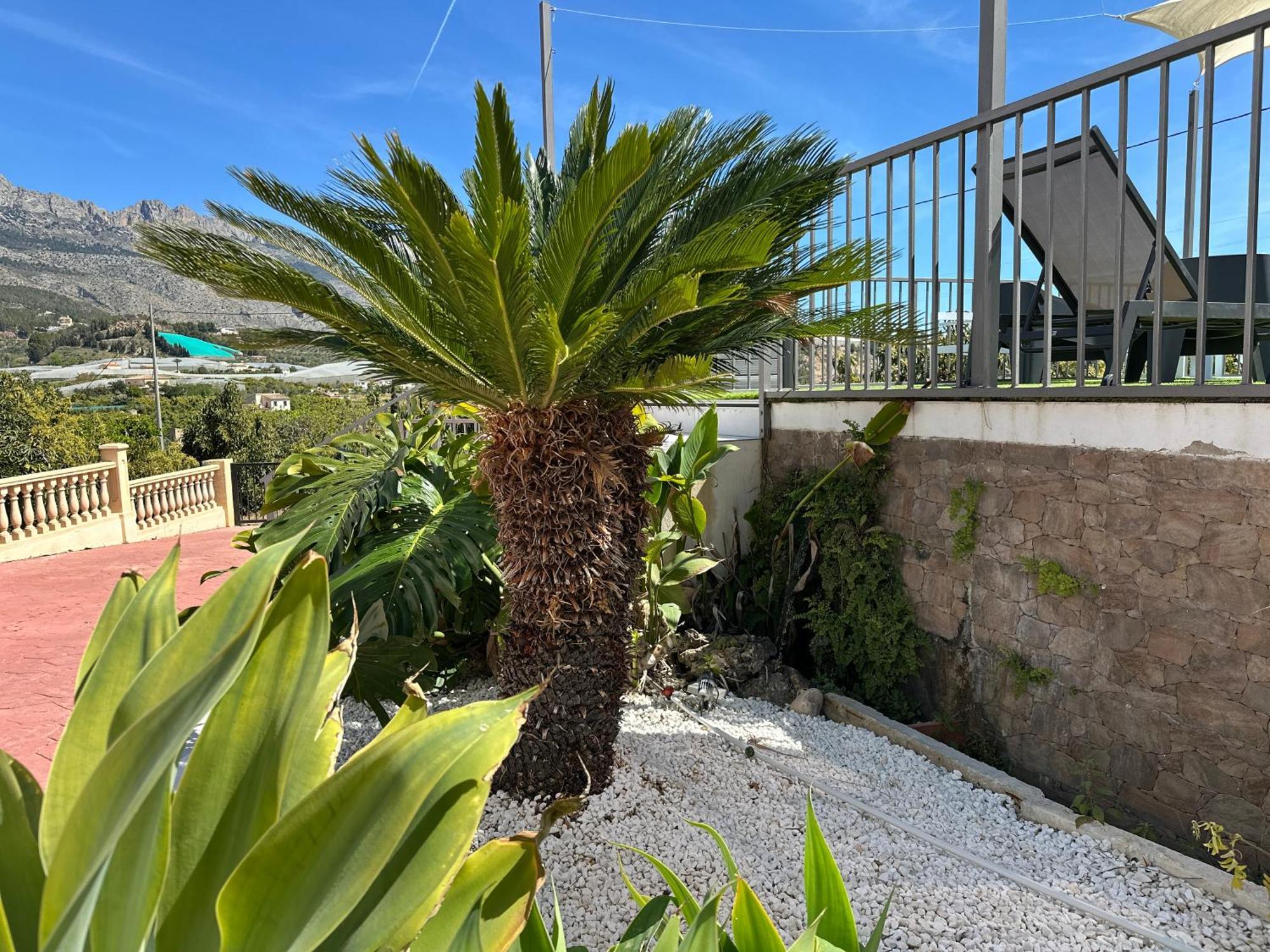 Casa Rural Altaret Callosa de Ensarriá Eksteriør bilde